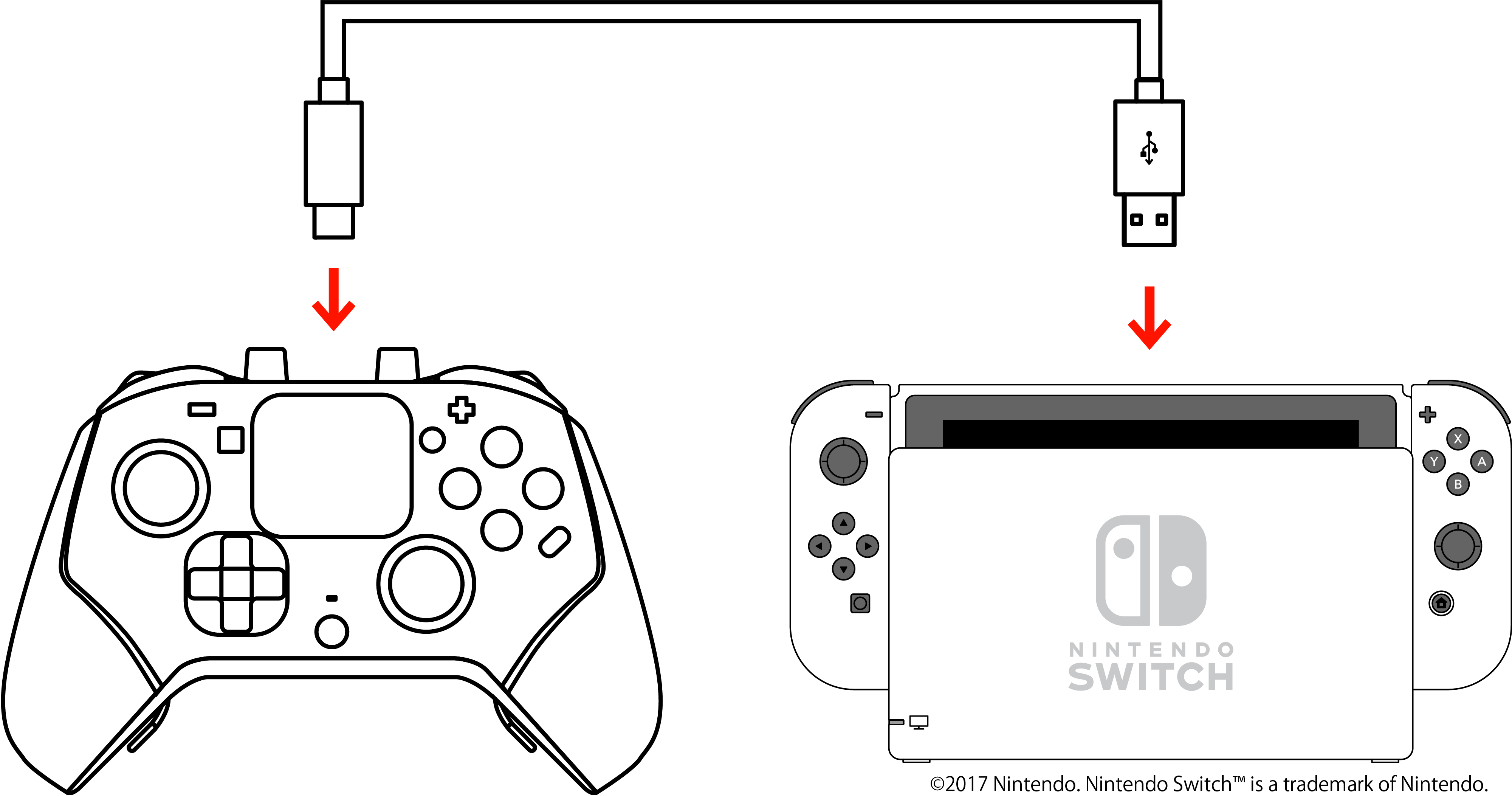 With the Nintendo Switch™ device powered off, connect it to the USB terminal of the Nintendo Switch™ dock using the dedicated USB cable.