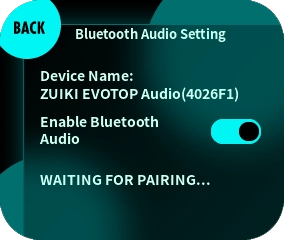 Switch the “Enable Bluetooth audio” switch to ON.